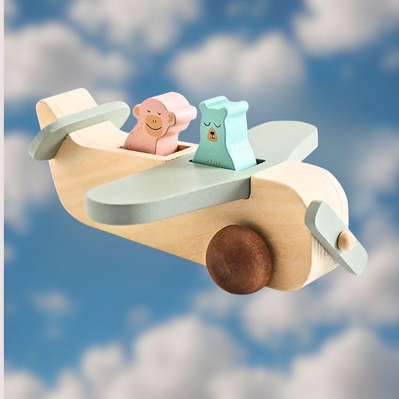 Jeu Montessori 1 an | Avion Blue & Pig